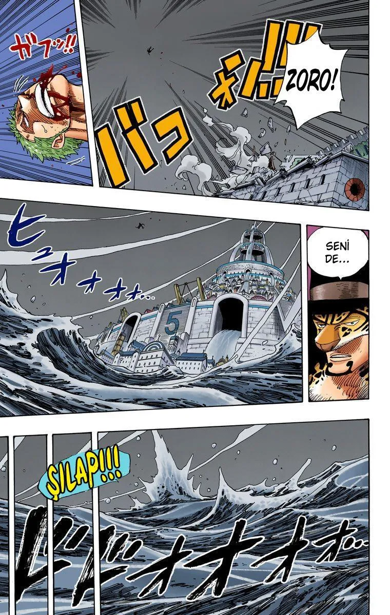 One Piece [Renkli] - Sayfa 14