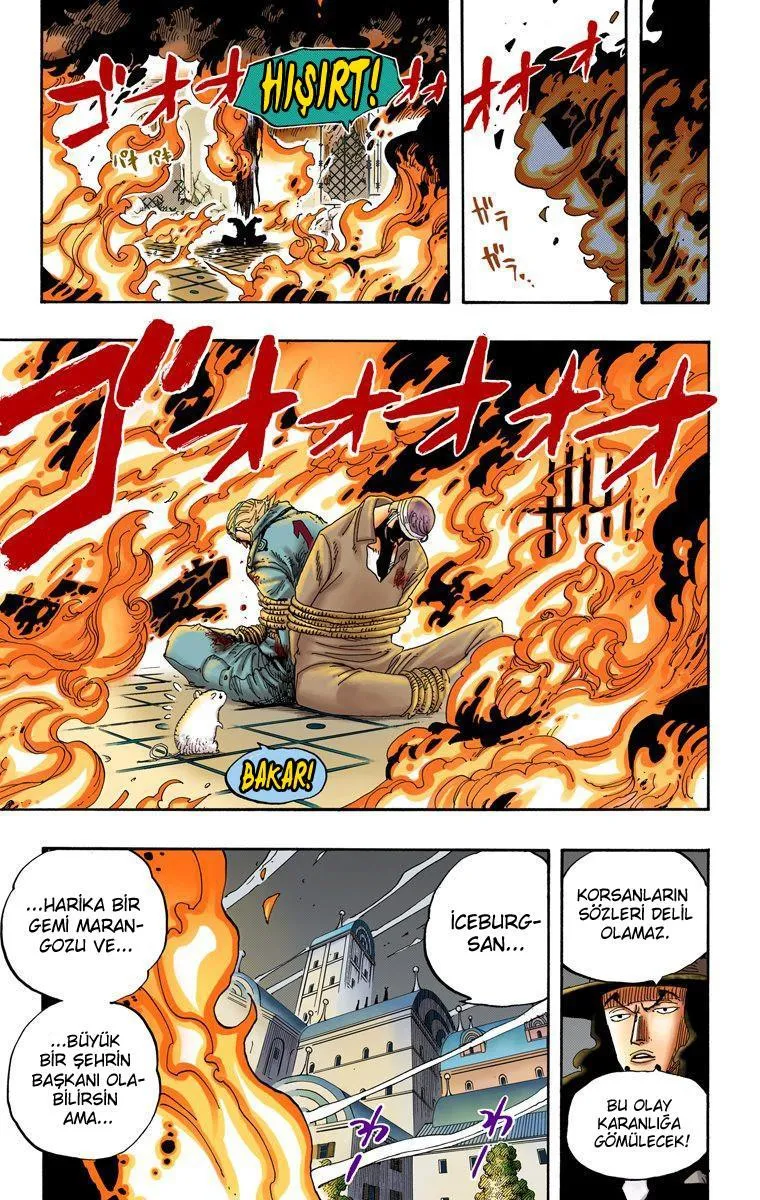 One Piece [Renkli] - Sayfa 16