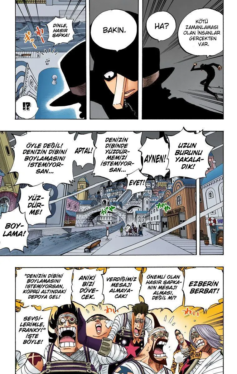 One Piece [Renkli] - Sayfa 6