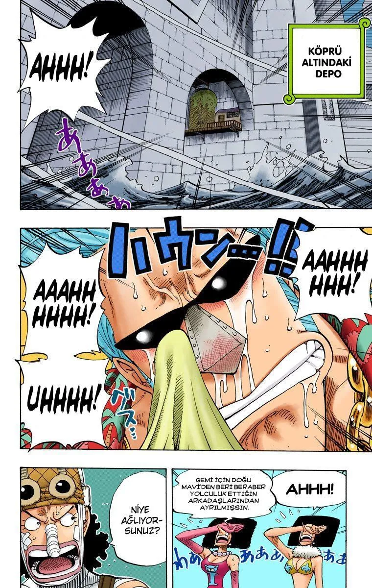 One Piece [Renkli] - Sayfa 9