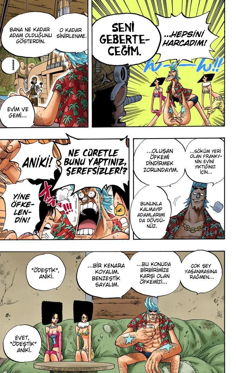 One Piece [Renkli] - Sayfa 12