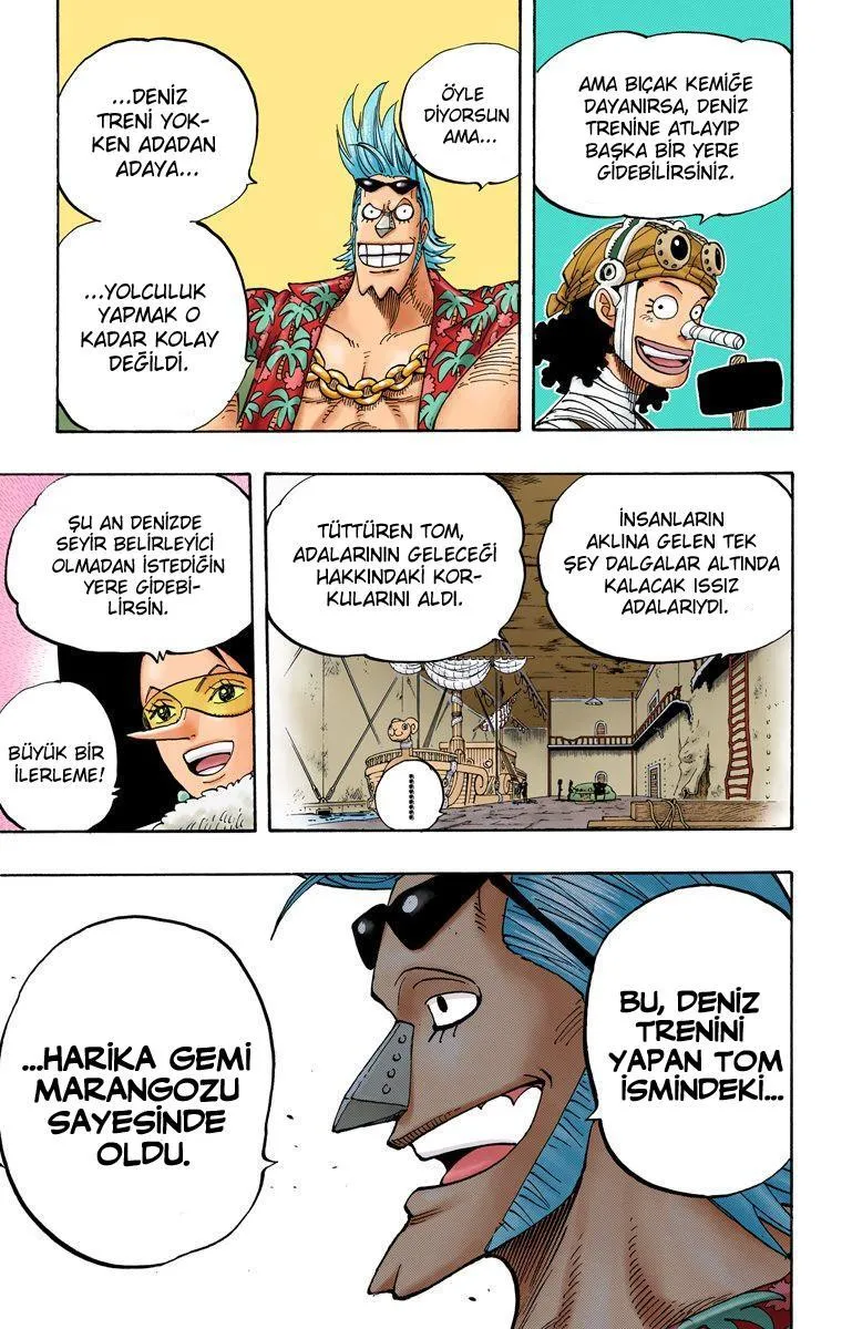 One Piece [Renkli] - Sayfa 16