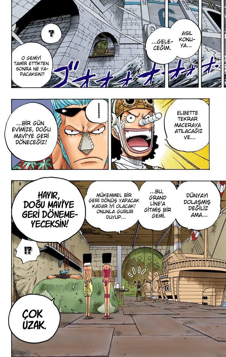 One Piece [Renkli] - Sayfa 19