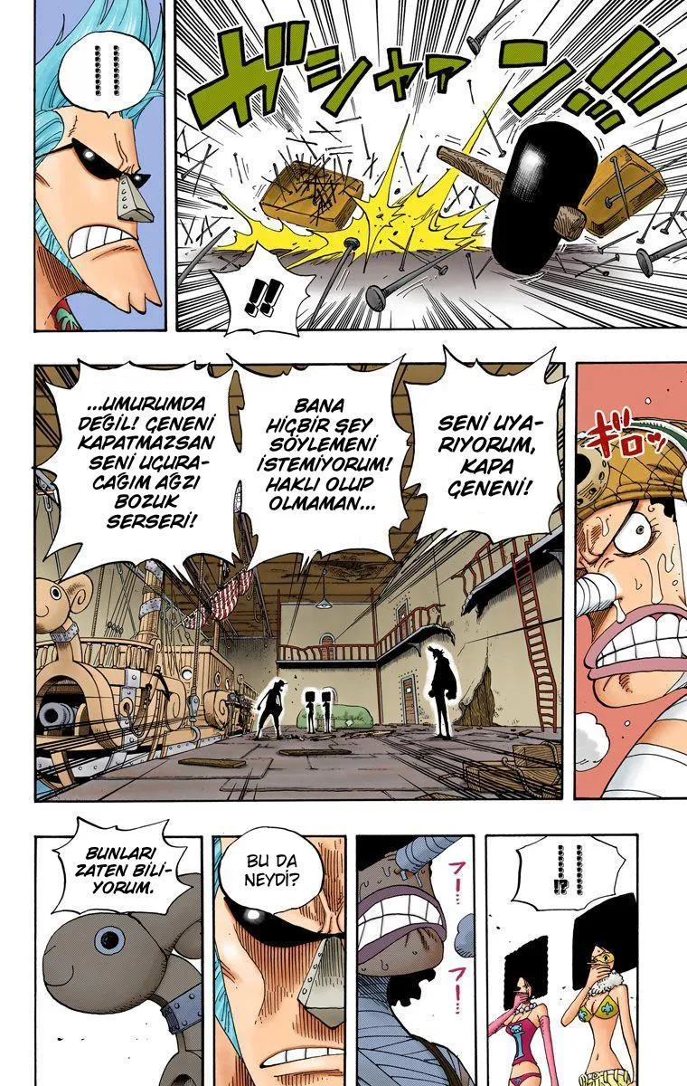 One Piece [Renkli] - Sayfa 13