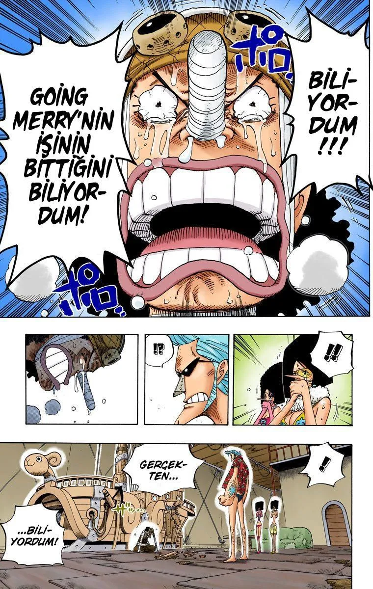 One Piece [Renkli] - Sayfa 14