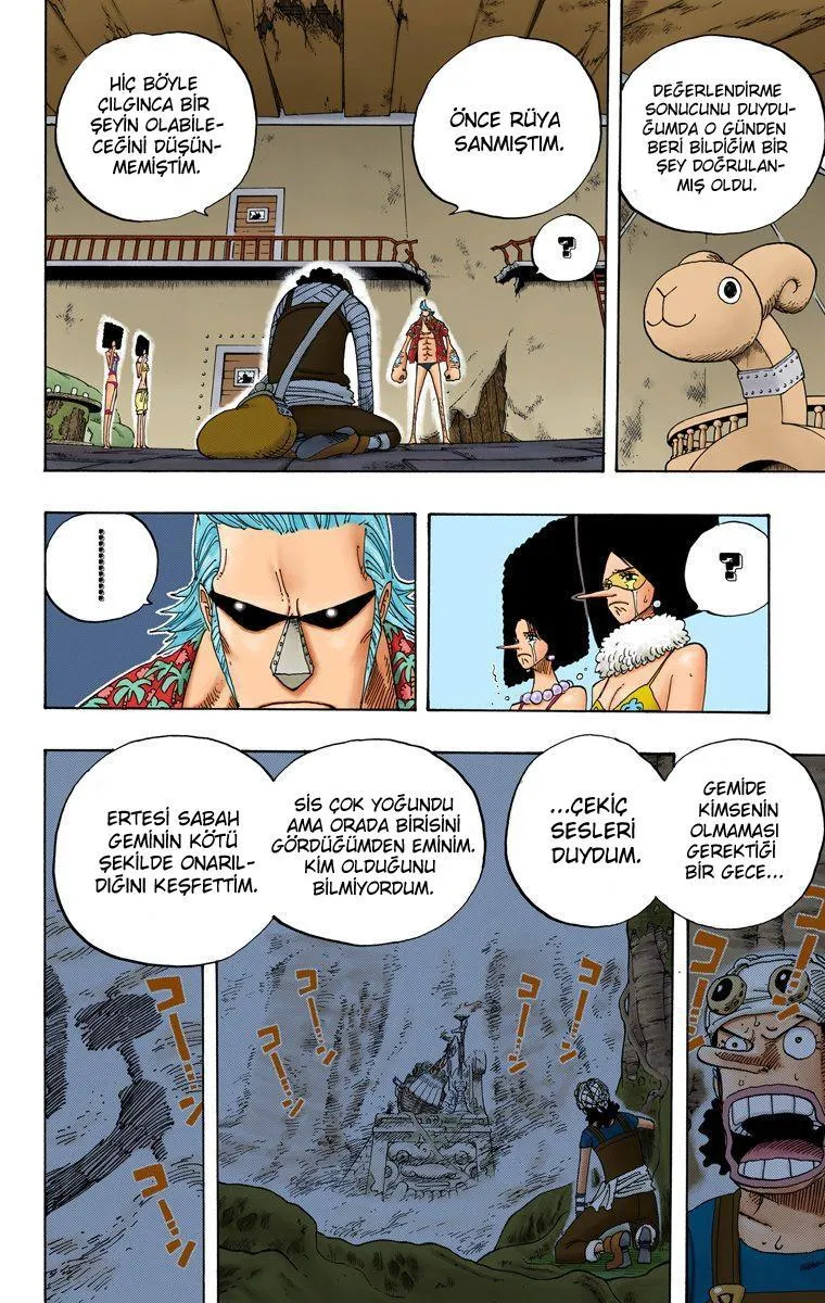 One Piece [Renkli] - Sayfa 15