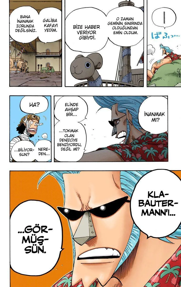 One Piece [Renkli] - Sayfa 17