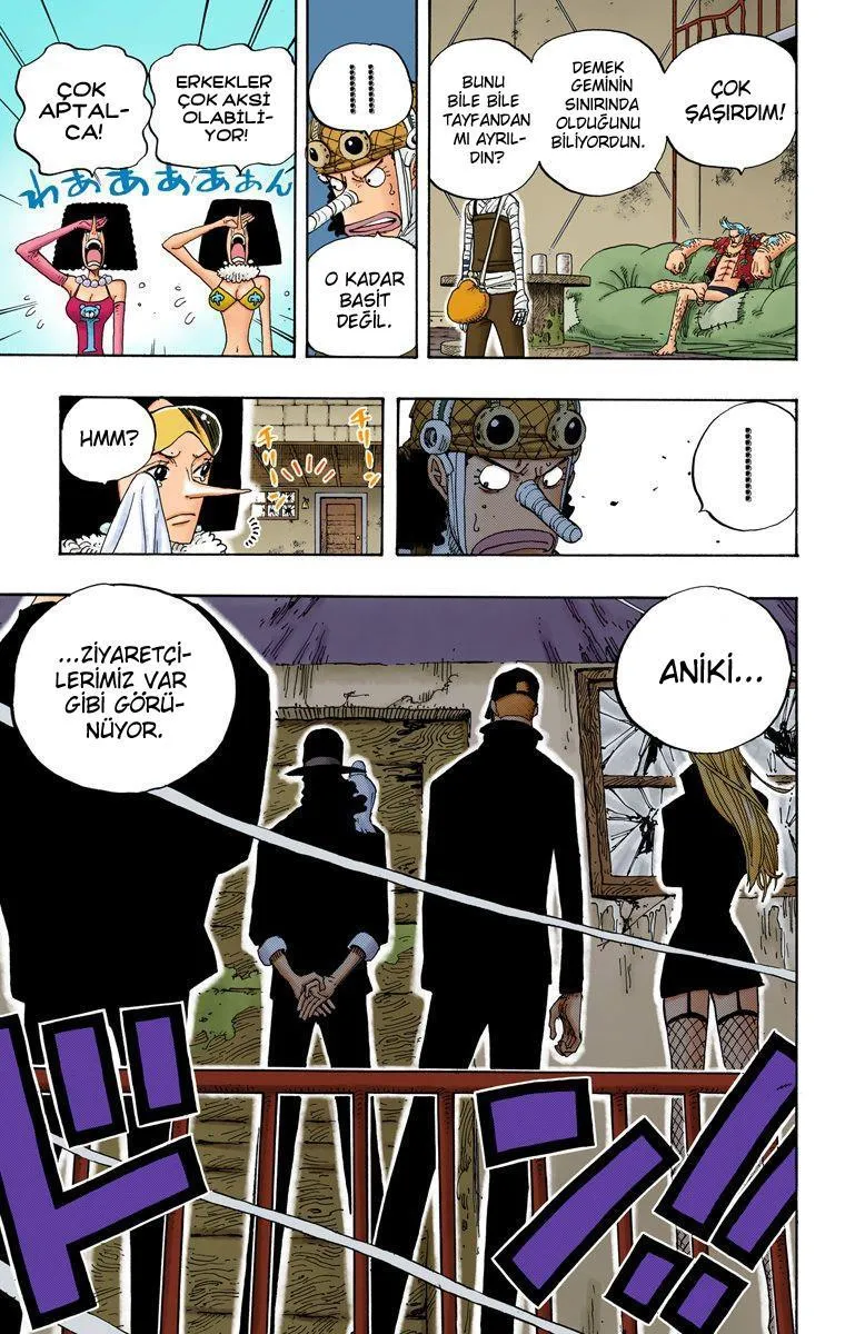 One Piece [Renkli] - Sayfa 20