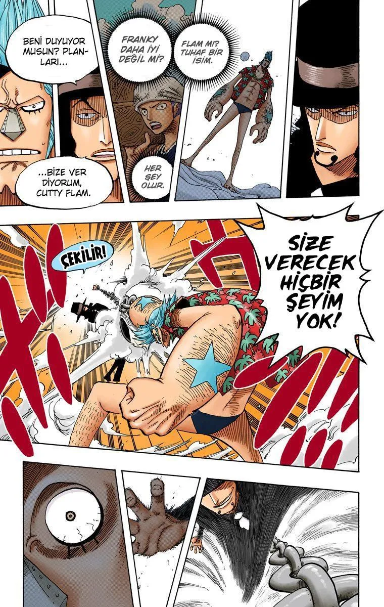 One Piece [Renkli] - Sayfa 15