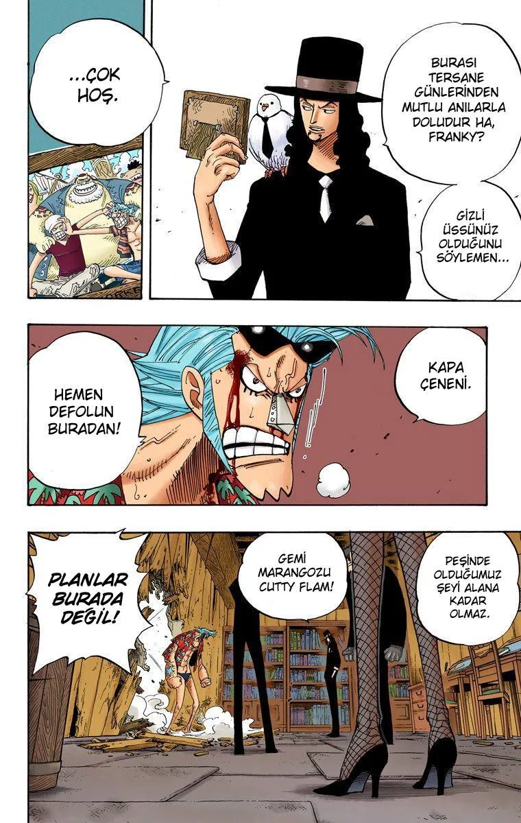 One Piece [Renkli] - Sayfa 5