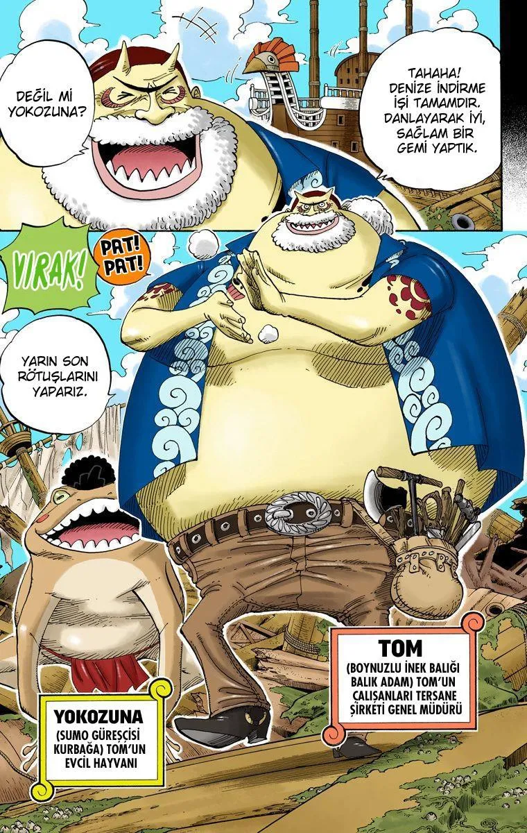 One Piece [Renkli] - Sayfa 14