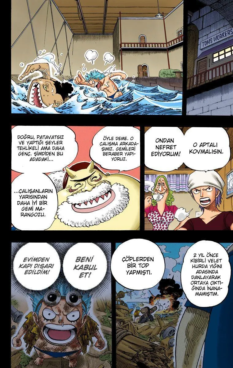 One Piece [Renkli] - Sayfa 11