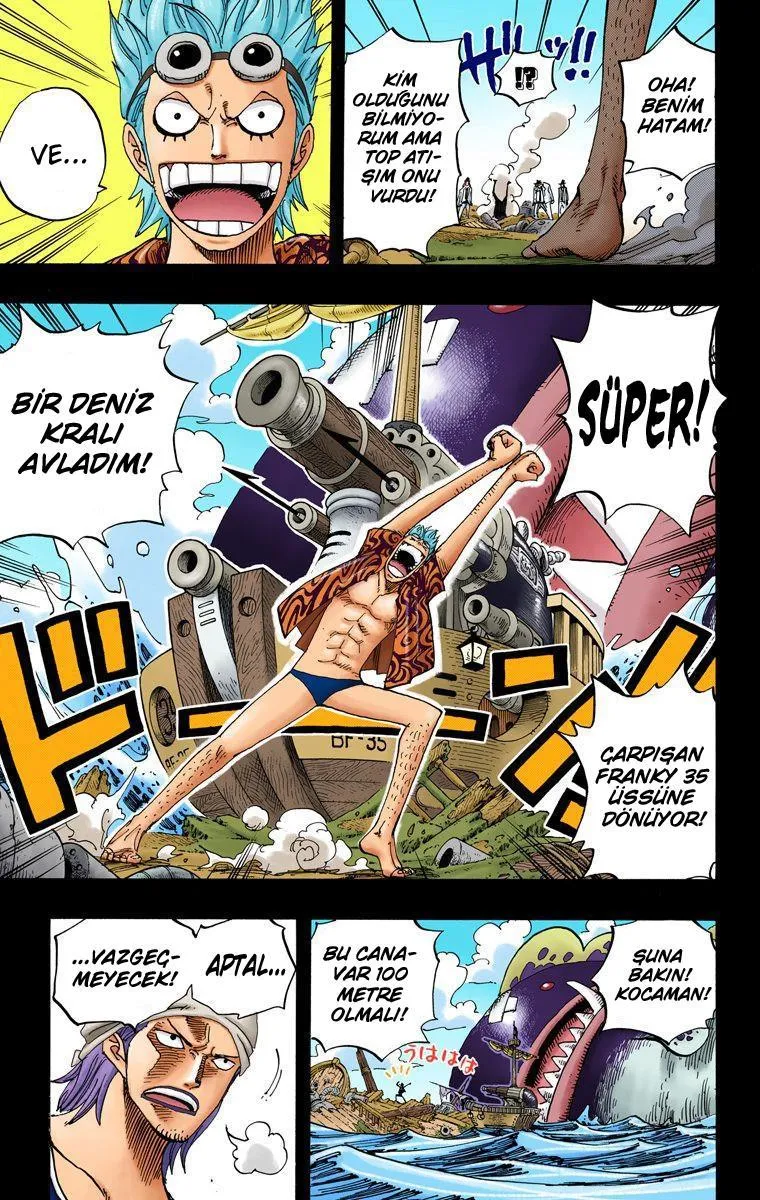 One Piece [Renkli] - Sayfa 6