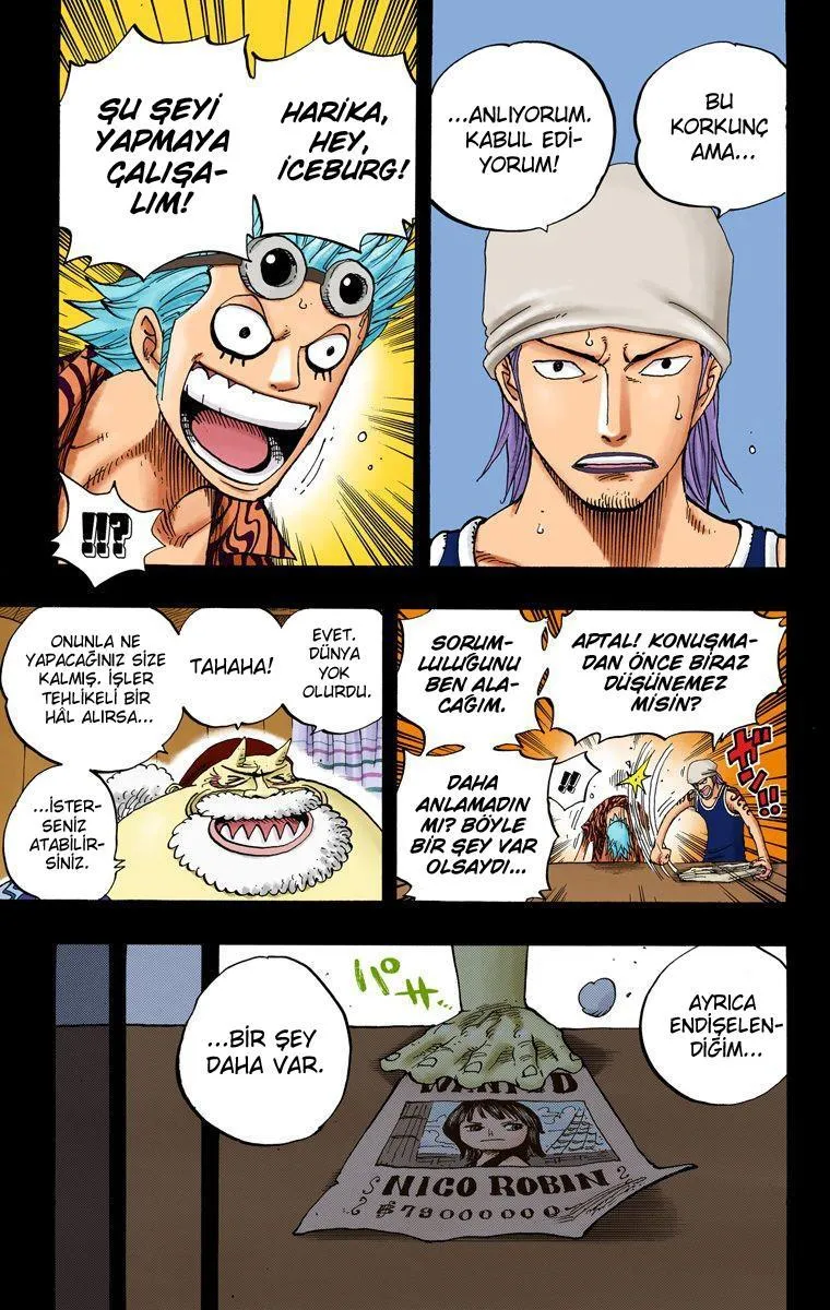 One Piece [Renkli] - Sayfa 14