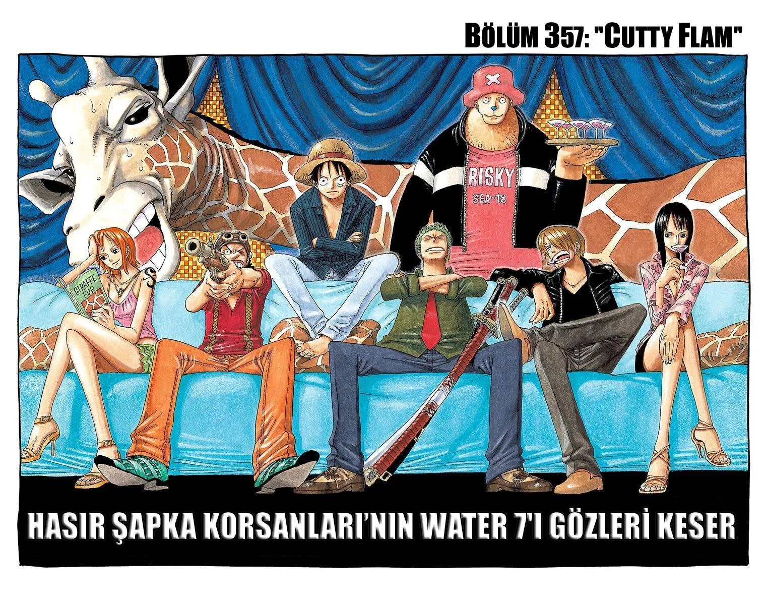 One Piece [Renkli] - Sayfa 2