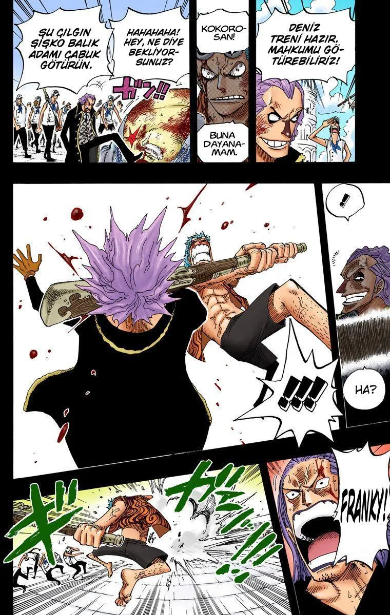 One Piece [Renkli] - Sayfa 14