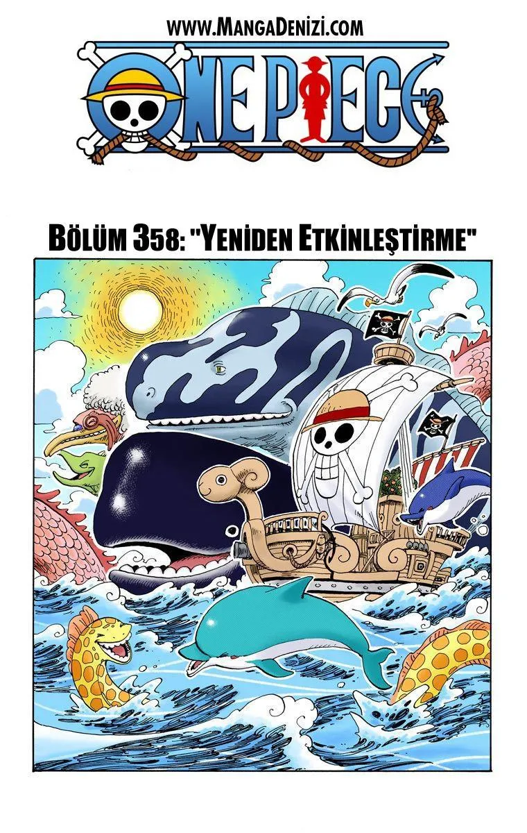 One Piece [Renkli] - Sayfa 2