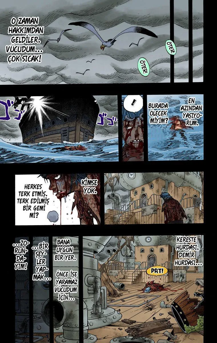 One Piece [Renkli] - Sayfa 4