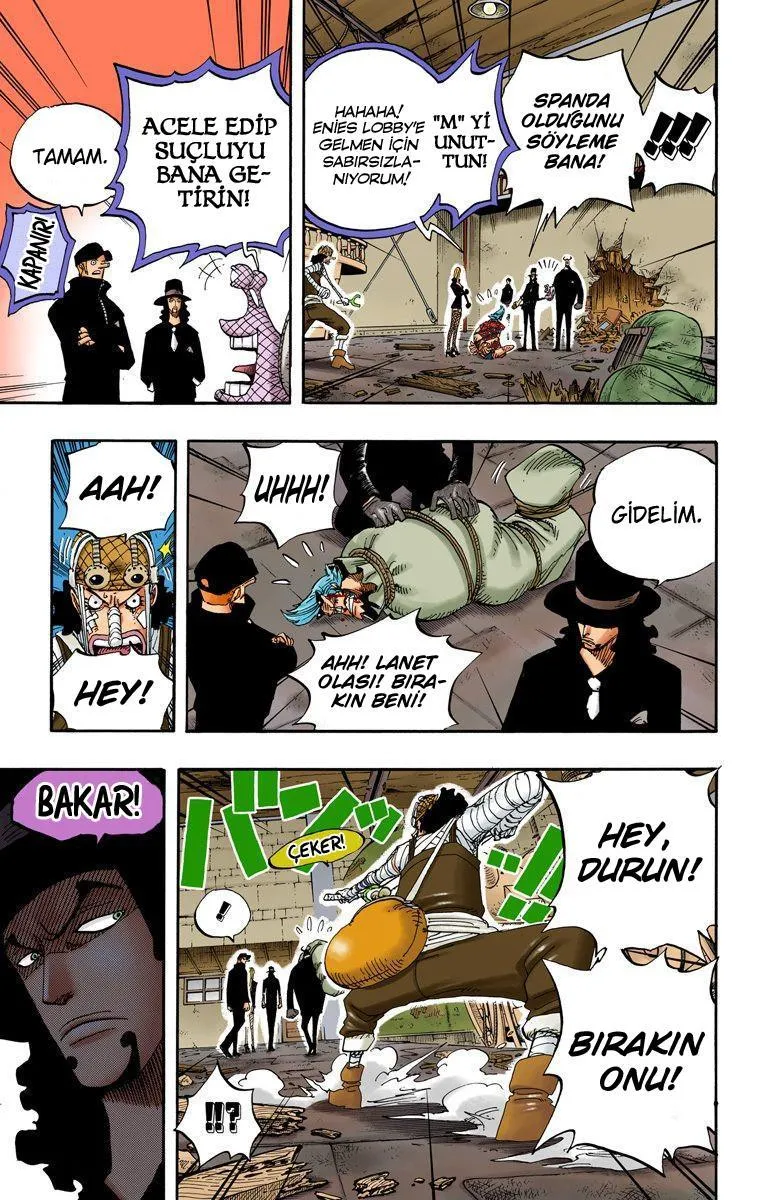 One Piece [Renkli] - Sayfa 16