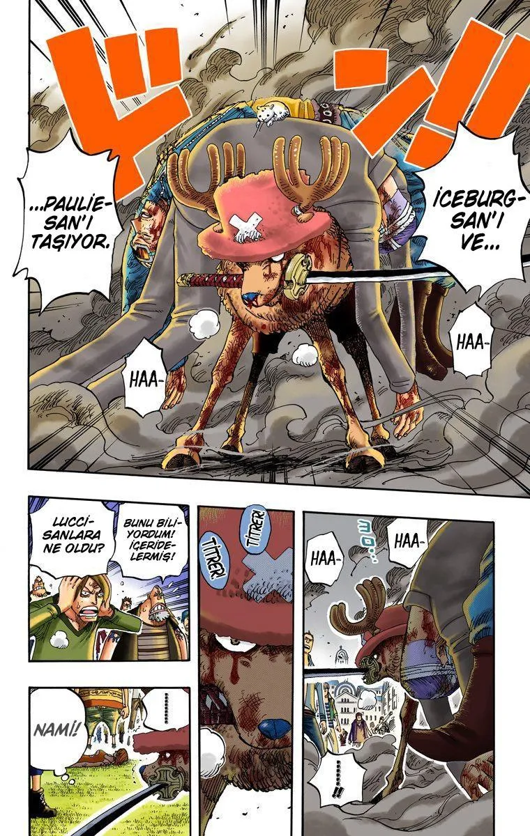 One Piece [Renkli] - Sayfa 19