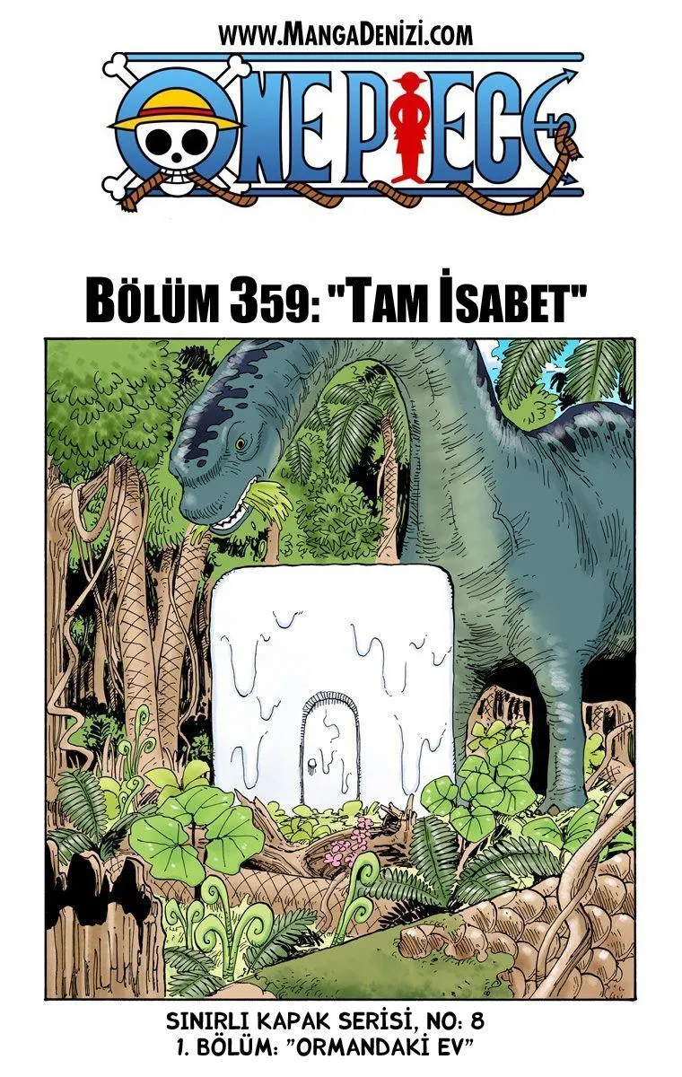 One Piece [Renkli] - Sayfa 2