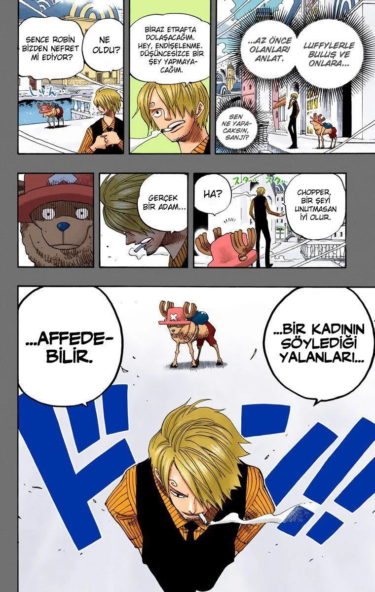 One Piece [Renkli] - Sayfa 19