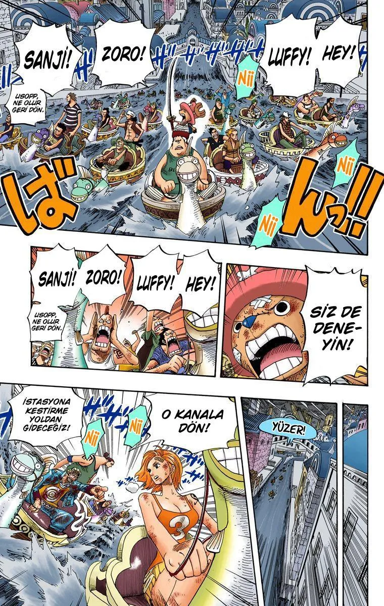 One Piece [Renkli] - Sayfa 14