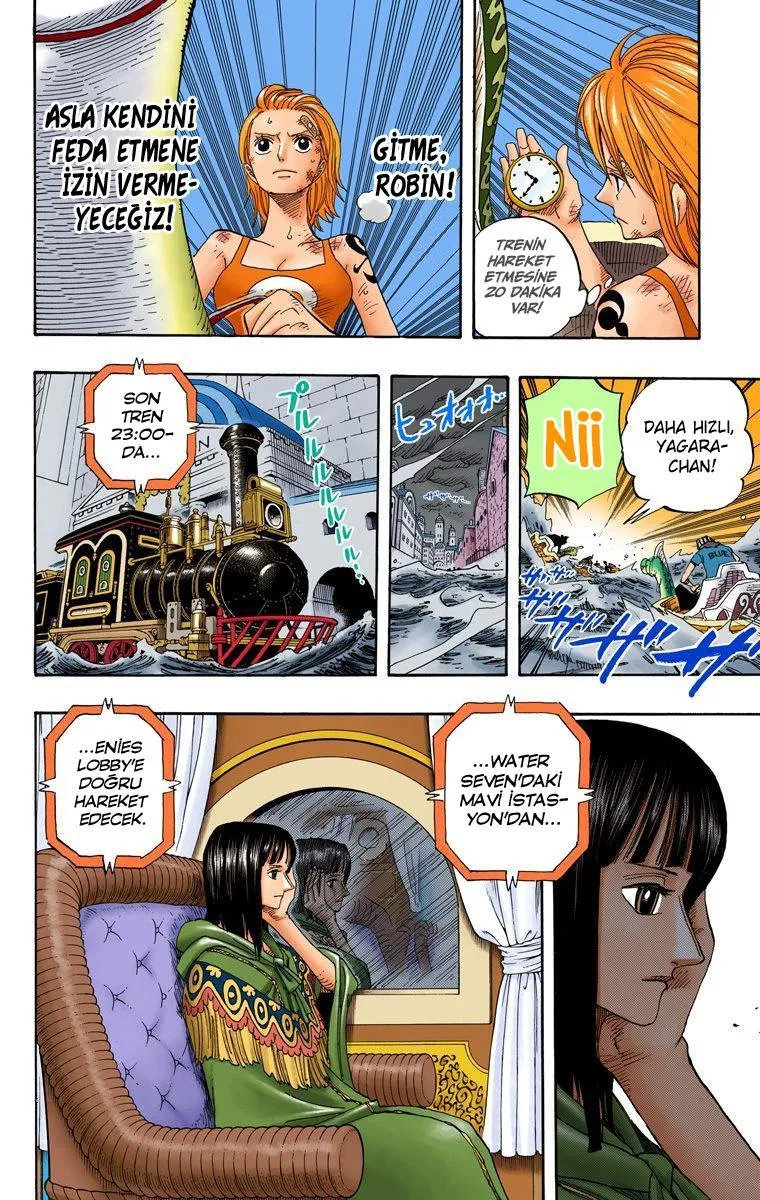 One Piece [Renkli] - Sayfa 15