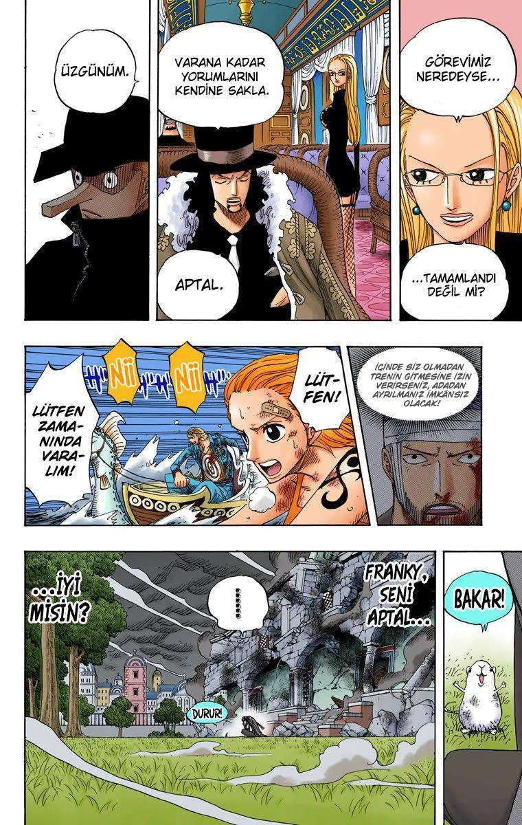 One Piece [Renkli] - Sayfa 17