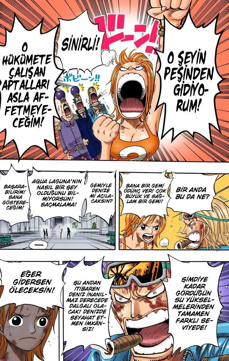One Piece [Renkli] - Sayfa 13