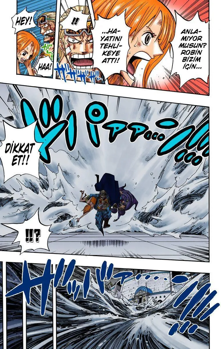 One Piece [Renkli] - Sayfa 14