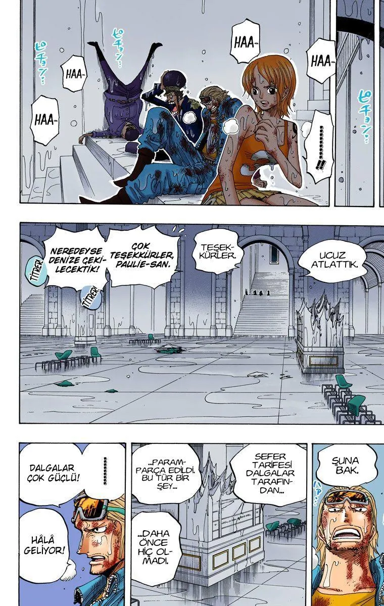 One Piece [Renkli] - Sayfa 15