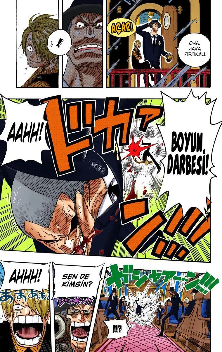 One Piece [Renkli] - Sayfa 20