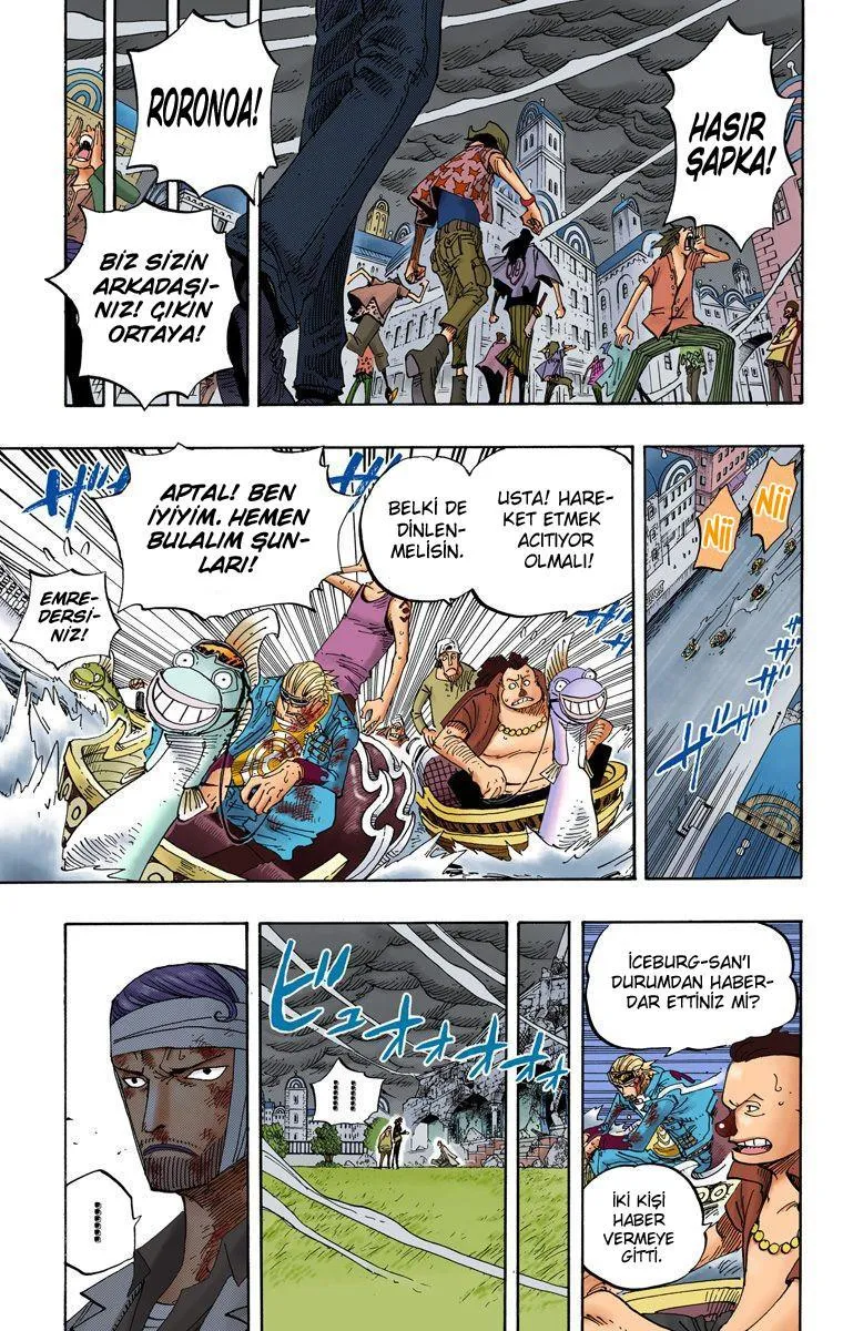 One Piece [Renkli] - Sayfa 12