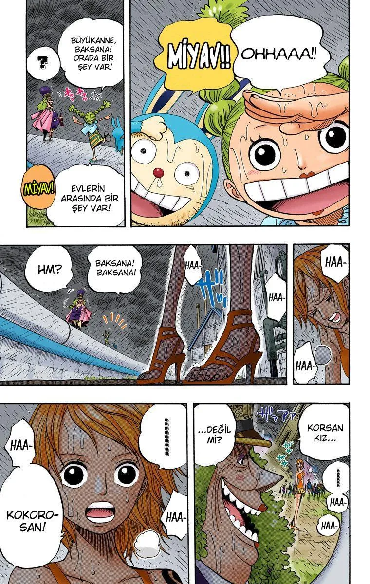 One Piece [Renkli] - Sayfa 18