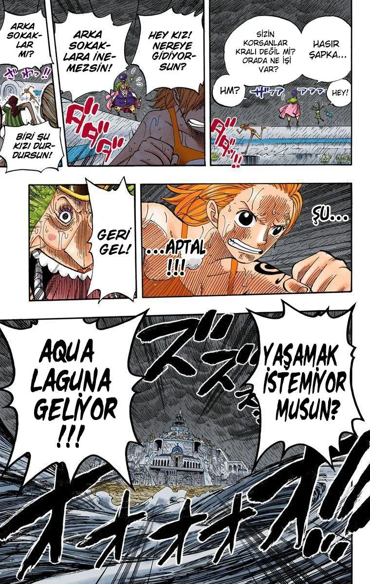 One Piece [Renkli] - Sayfa 20