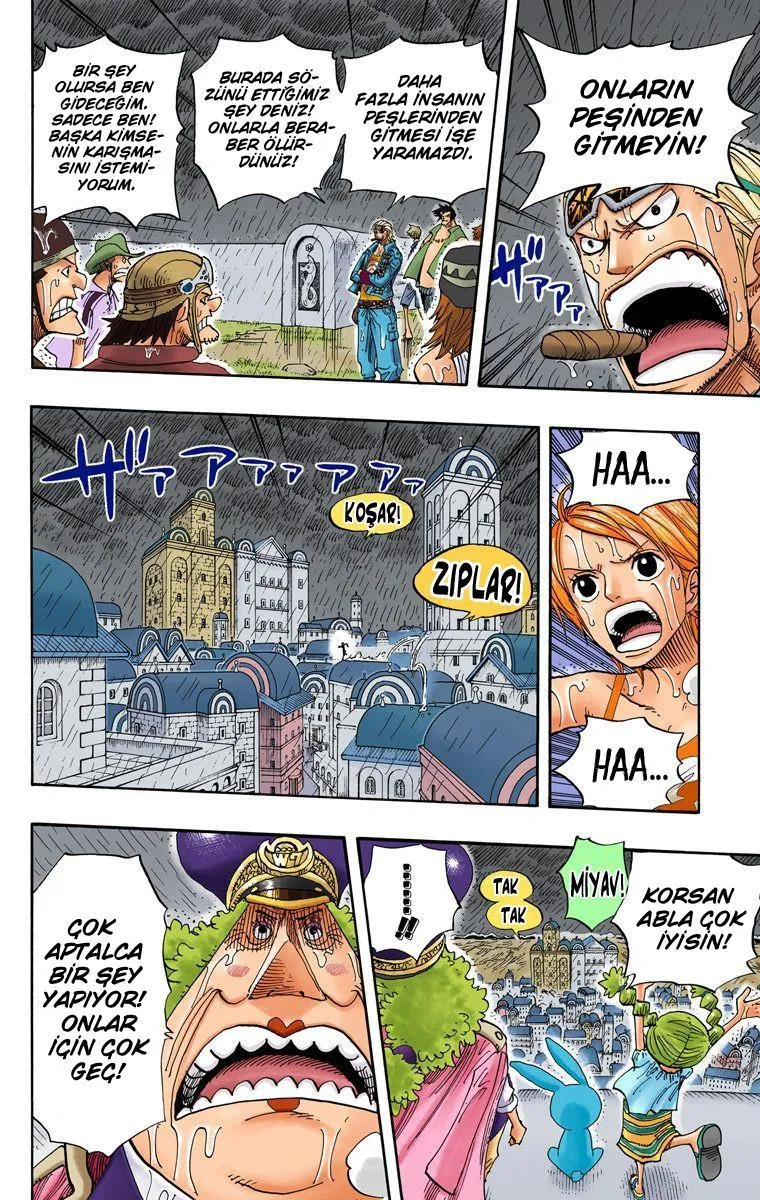 One Piece [Renkli] - Sayfa 5