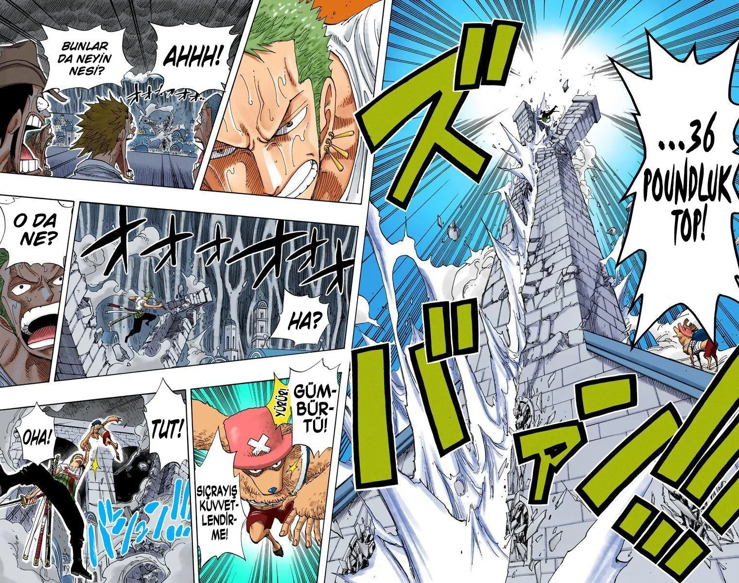 One Piece [Renkli] - Sayfa 15