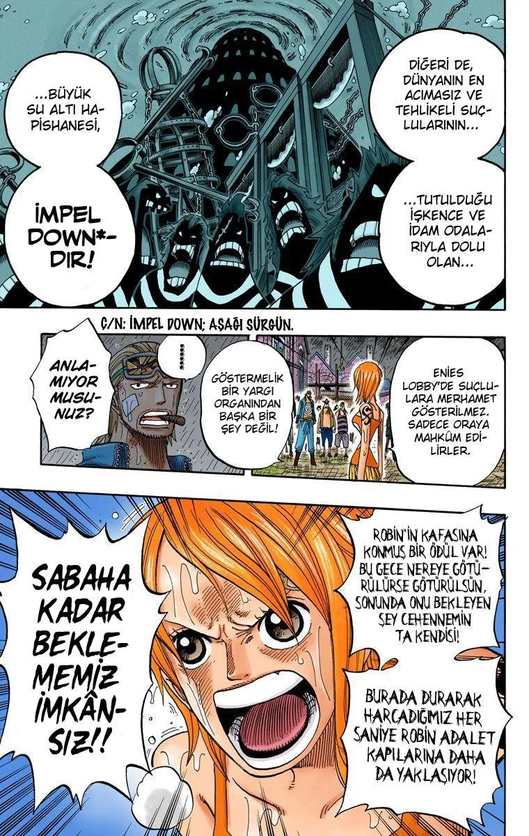 One Piece [Renkli] - Sayfa 14
