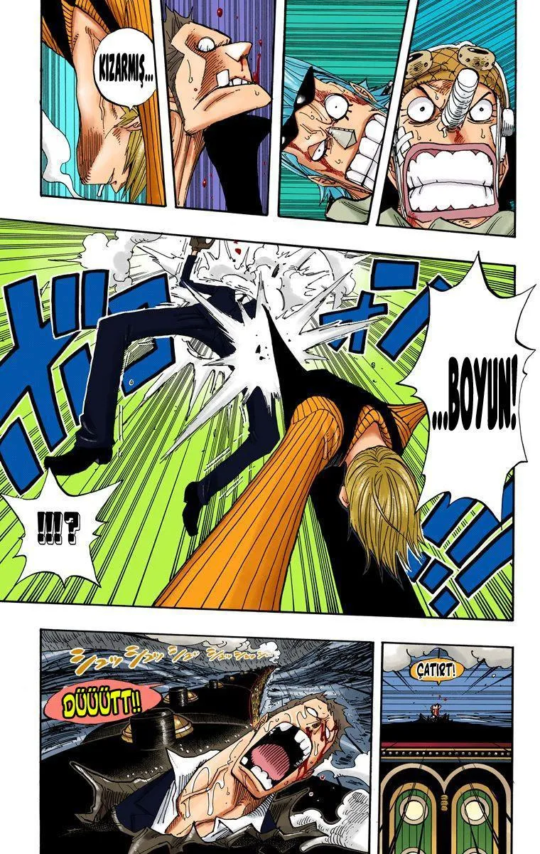 One Piece [Renkli] - Sayfa 6