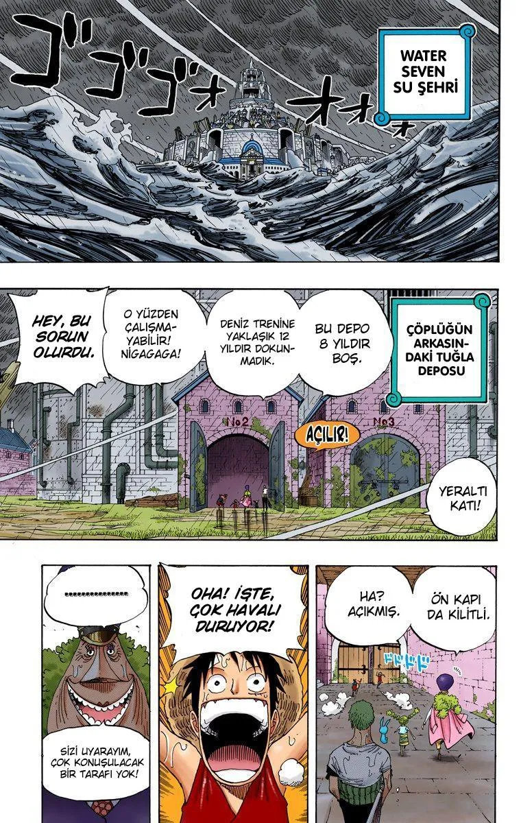 One Piece [Renkli] - Sayfa 10