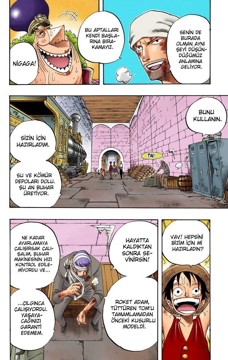 One Piece [Renkli] - Sayfa 12