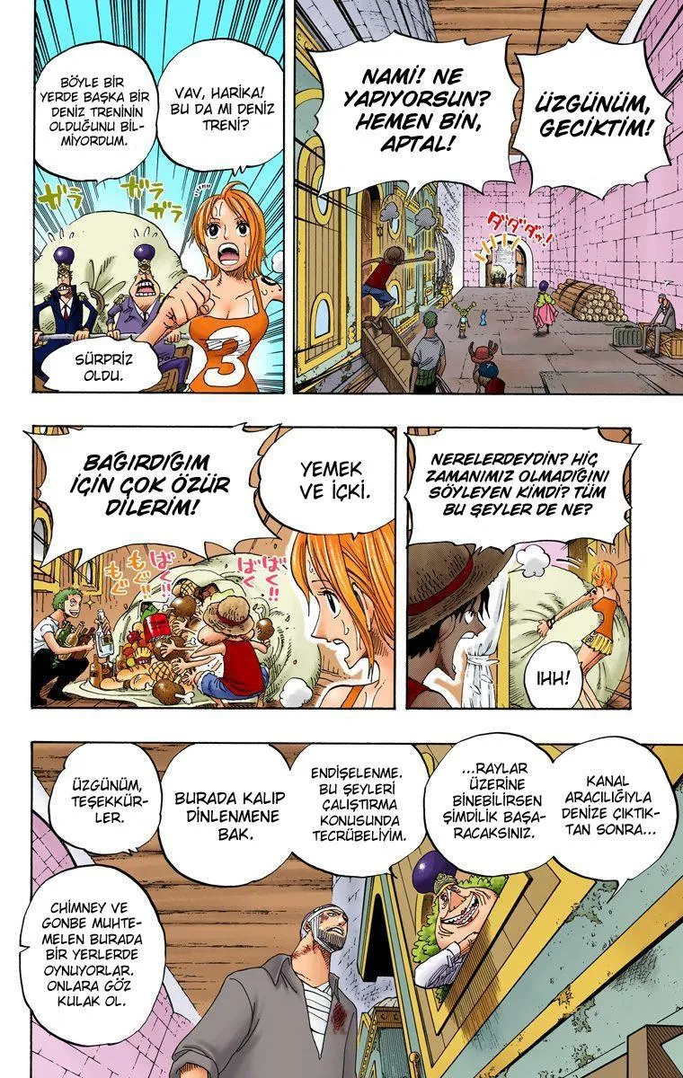 One Piece [Renkli] - Sayfa 14
