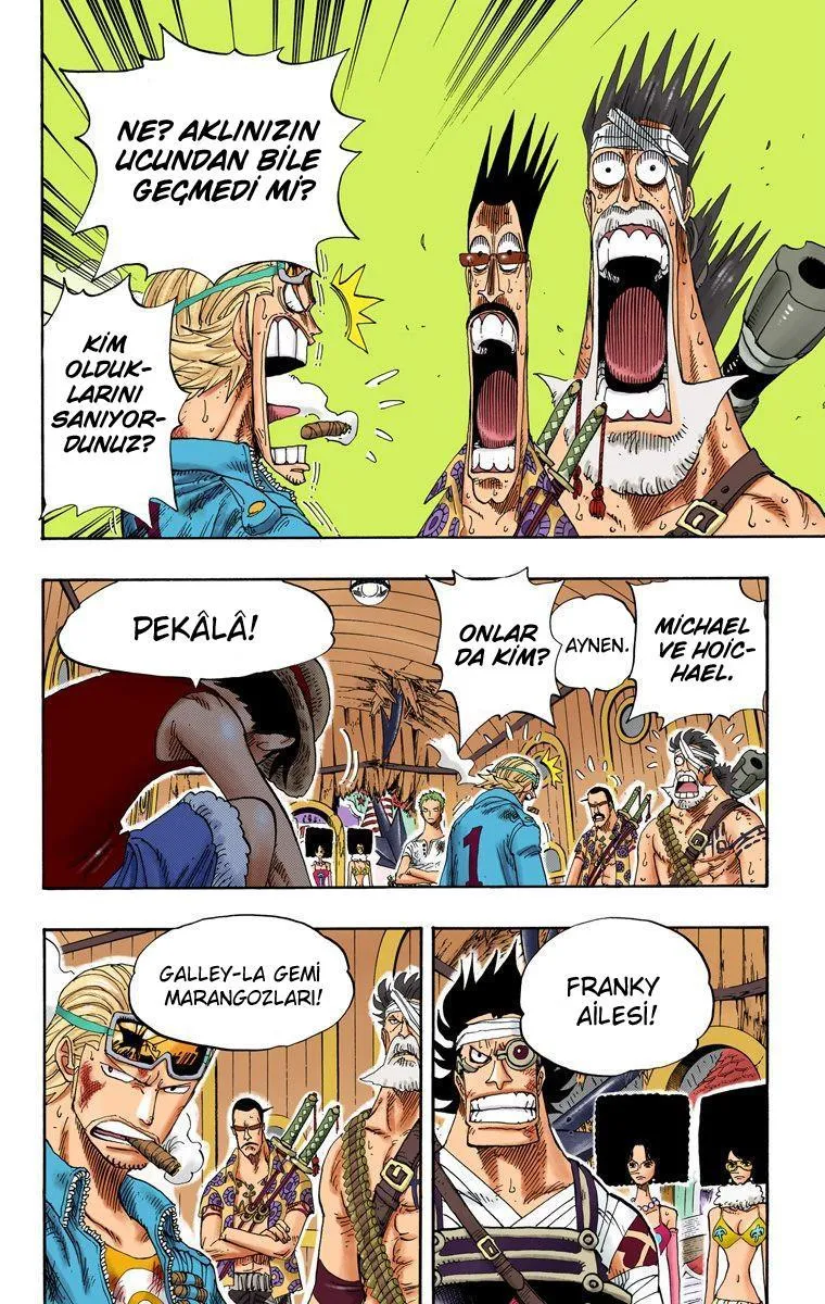 One Piece [Renkli] - Sayfa 11