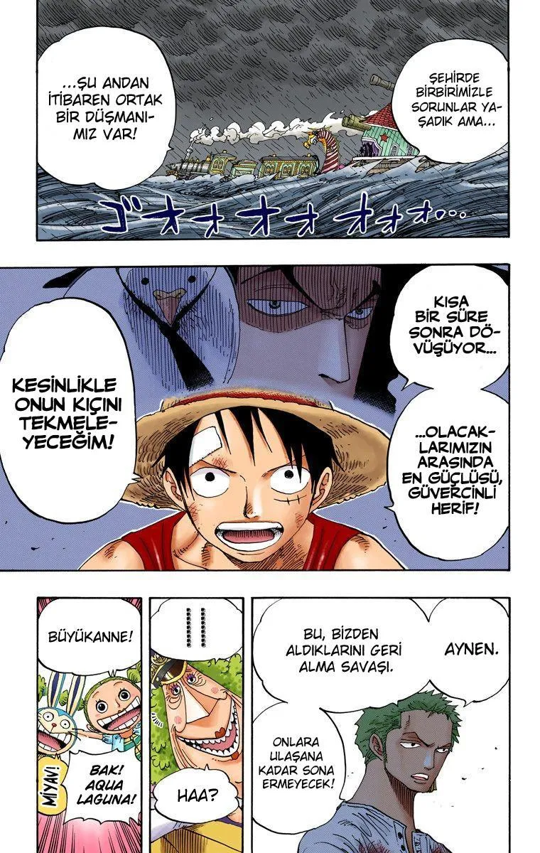 One Piece [Renkli] - Sayfa 12
