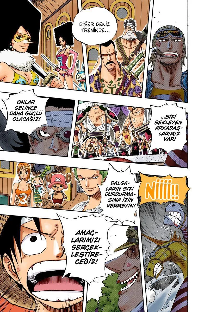 One Piece [Renkli] - Sayfa 14