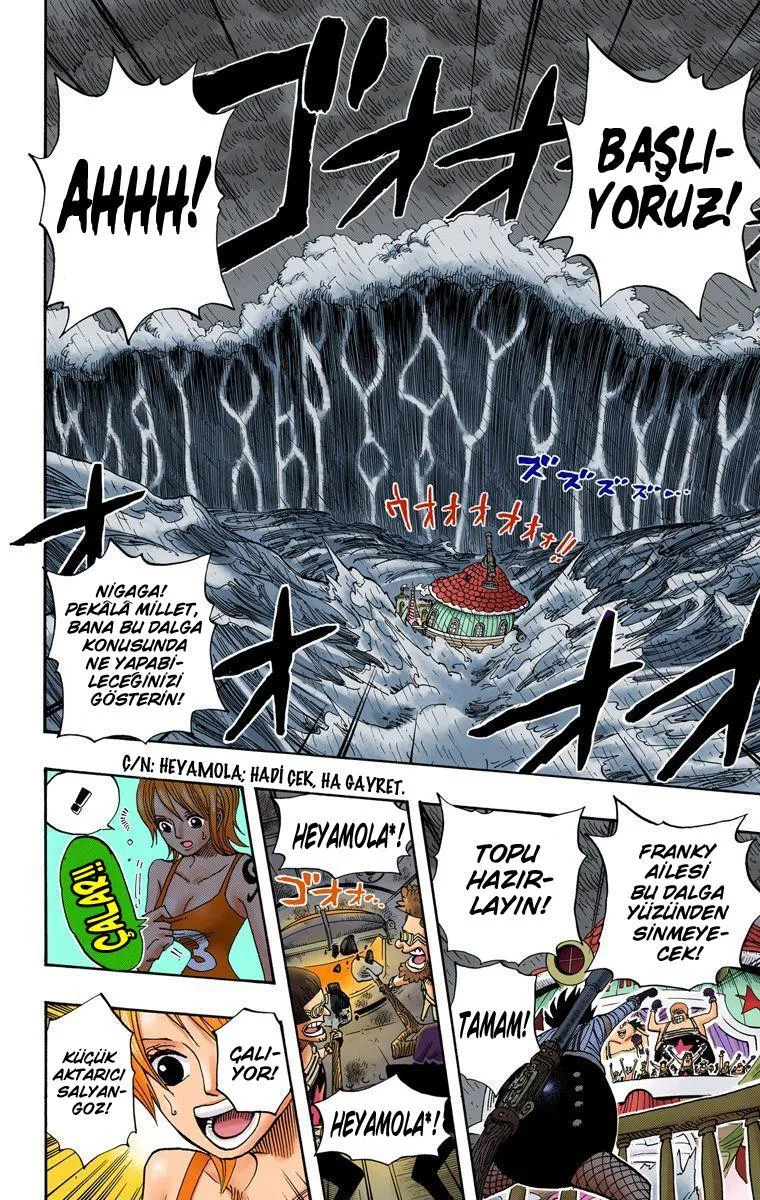 One Piece [Renkli] - Sayfa 15