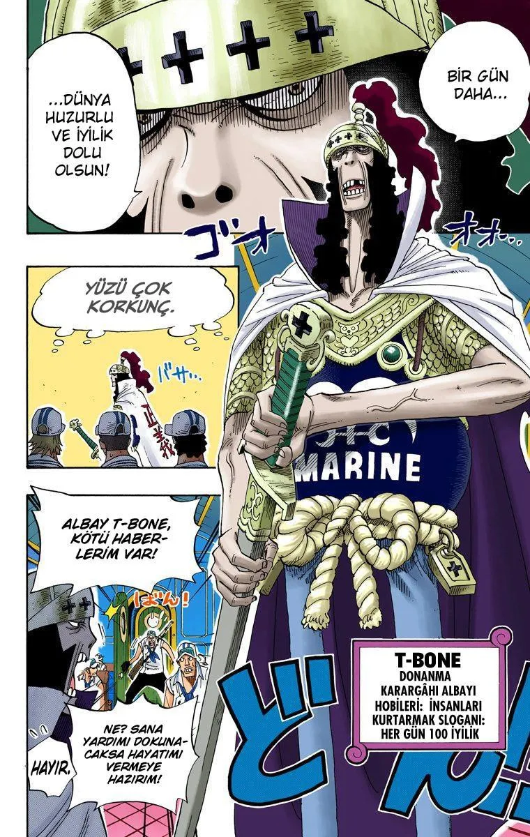 One Piece [Renkli] - Sayfa 17