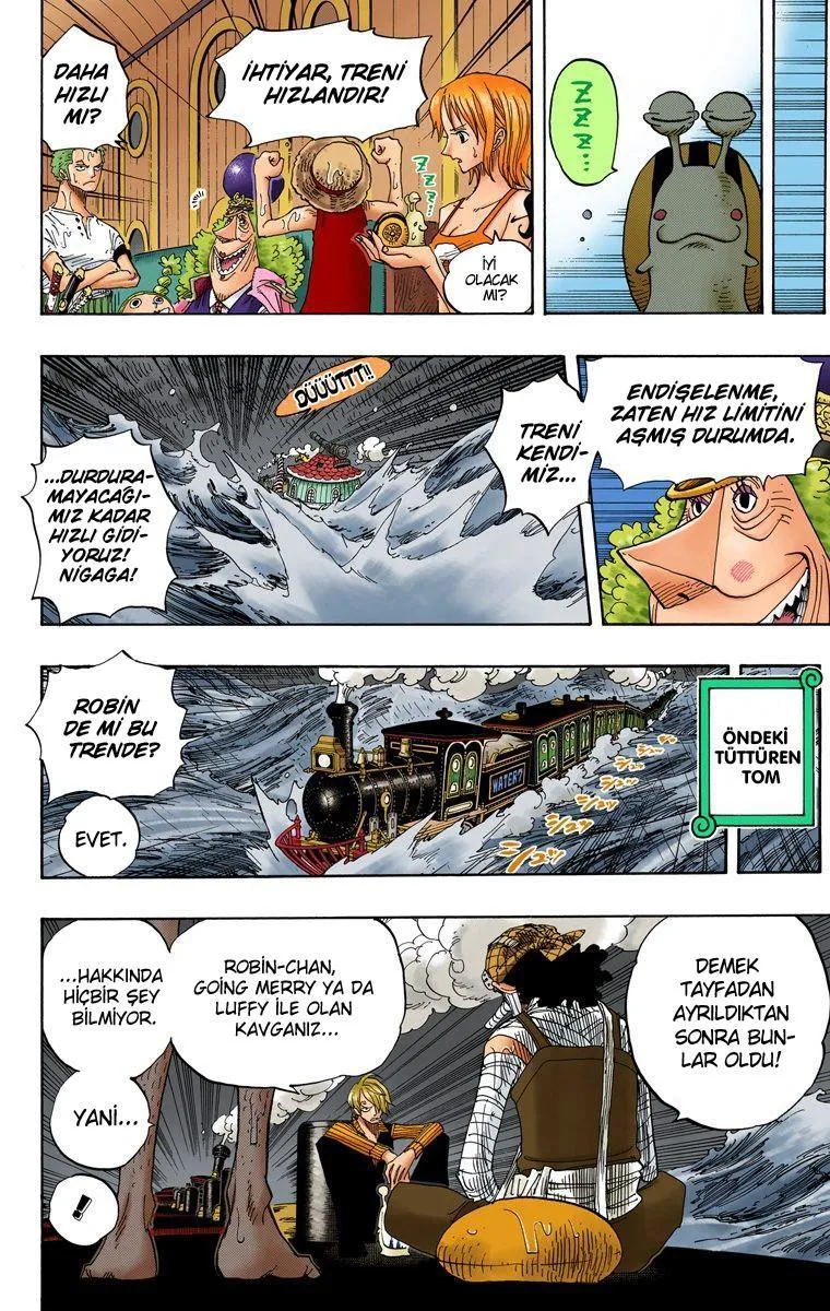 One Piece [Renkli] - Sayfa 14