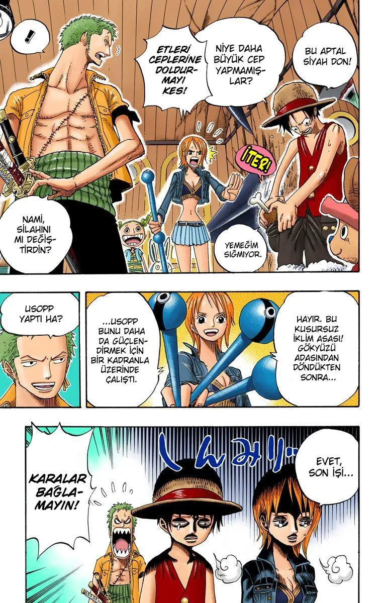 One Piece [Renkli] - Sayfa 6